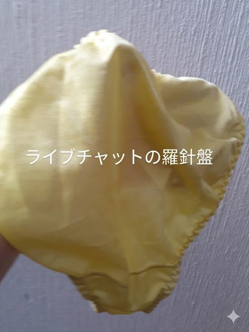 女子大生の使用済み下着