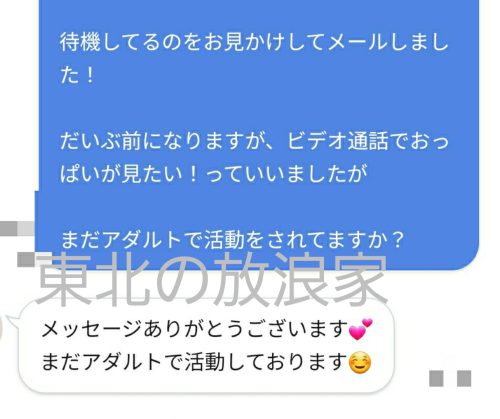 ビデオチャットの許可を得る