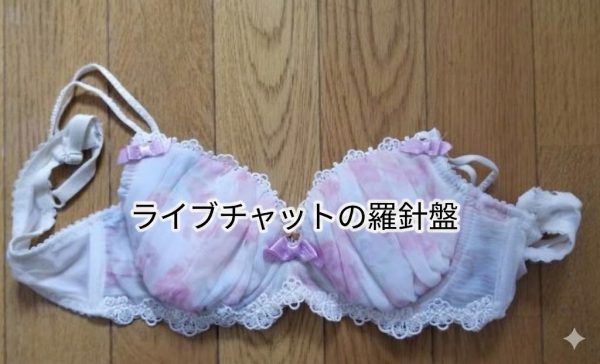 女子大生のBカップブラジャー